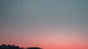 Preview wallpaper birds, sky, flight, flock
