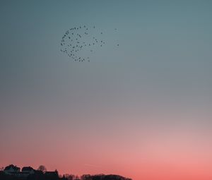 Preview wallpaper birds, sky, flight, flock