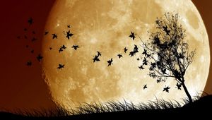 Preview wallpaper birds, sky, planet, moon, shadow