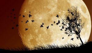 Preview wallpaper birds, sky, planet, moon, shadow