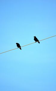 Preview wallpaper birds, wire, sky, ravens, blue background, sit