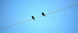 Preview wallpaper birds, wire, sky, ravens, blue background, sit