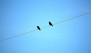 Preview wallpaper birds, wire, sky, ravens, blue background, sit