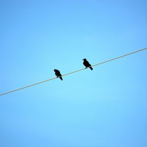 Preview wallpaper birds, wire, sky, ravens, blue background, sit