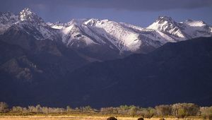 Preview wallpaper bisons, mountains, pasture, field