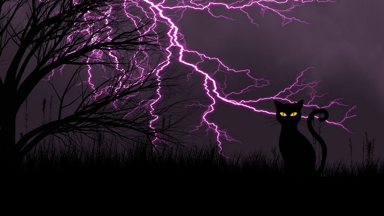 Wallpaper black cat, lightning, art, grass, night