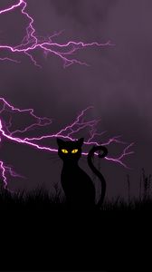 Preview wallpaper black cat, lightning, art, grass, night