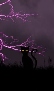 Preview wallpaper black cat, lightning, art, grass, night