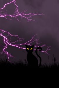 Preview wallpaper black cat, lightning, art, grass, night