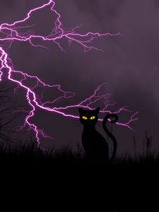 Preview wallpaper black cat, lightning, art, grass, night