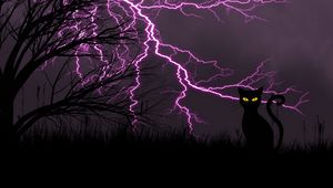 Preview wallpaper black cat, lightning, art, grass, night