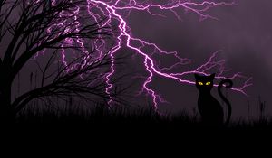 Preview wallpaper black cat, lightning, art, grass, night