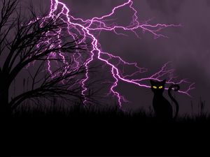 Preview wallpaper black cat, lightning, art, grass, night