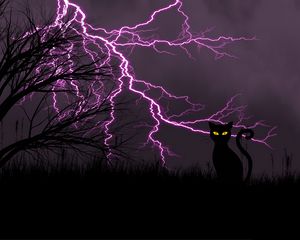 Preview wallpaper black cat, lightning, art, grass, night