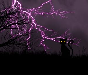 Preview wallpaper black cat, lightning, art, grass, night