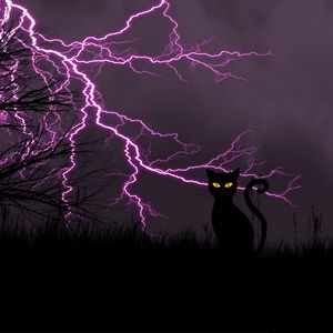 Preview wallpaper black cat, lightning, art, grass, night