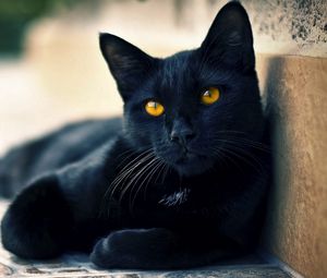 Preview wallpaper black cat, lying, beautiful, face, eyes, waiting