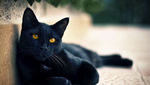 Preview wallpaper black cat, lying, face, eyes