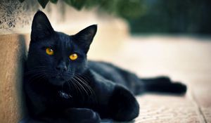 Preview wallpaper black cat, lying, face, eyes