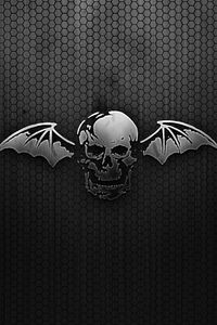 Preview wallpaper black, skull, wings, mesh