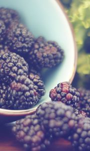 Preview wallpaper blackberries, berries, bowl