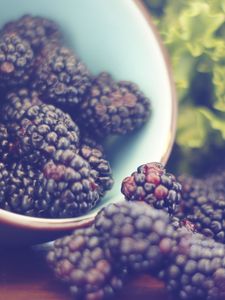 Preview wallpaper blackberries, berries, bowl