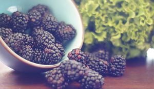 Preview wallpaper blackberries, berries, bowl