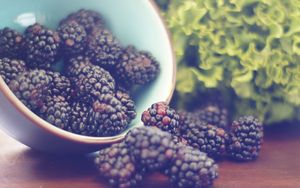 Preview wallpaper blackberries, berries, bowl