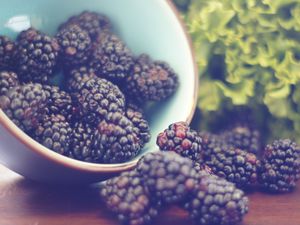 Preview wallpaper blackberries, berries, bowl