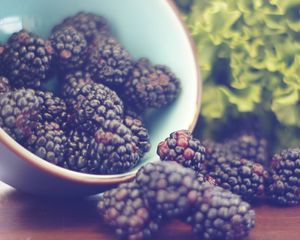 Preview wallpaper blackberries, berries, bowl