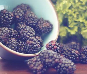 Preview wallpaper blackberries, berries, bowl