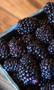 Preview wallpaper blackberries, berries, food