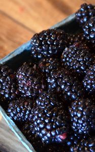 Preview wallpaper blackberries, berries, food