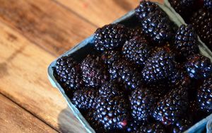 Preview wallpaper blackberries, berries, food