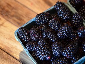 Preview wallpaper blackberries, berries, food