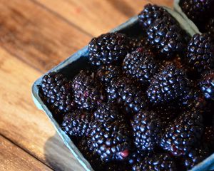 Preview wallpaper blackberries, berries, food