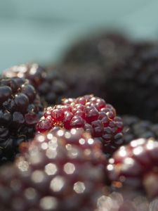 Preview wallpaper blackberries, berries, fruits, fresh, macro