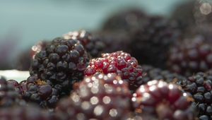 Preview wallpaper blackberries, berries, fruits, fresh, macro