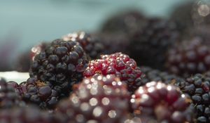 Preview wallpaper blackberries, berries, fruits, fresh, macro