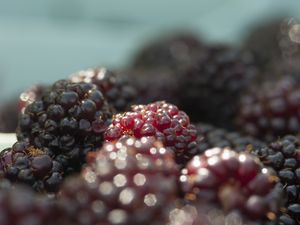 Preview wallpaper blackberries, berries, fruits, fresh, macro