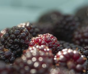 Preview wallpaper blackberries, berries, fruits, fresh, macro