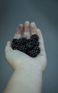 Preview wallpaper blackberries, berries, hand, food