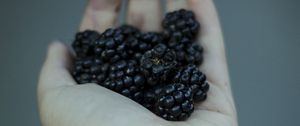 Preview wallpaper blackberries, berries, hand, food