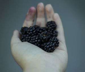 Preview wallpaper blackberries, berries, hand, food
