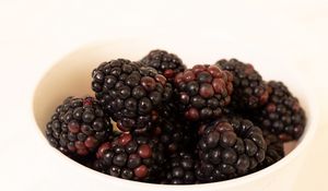 Preview wallpaper blackberries, berries, macro, white background