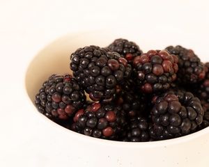 Preview wallpaper blackberries, berries, macro, white background