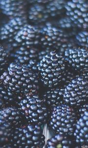 Preview wallpaper blackberries, berries, ripe, blur