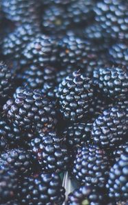 Preview wallpaper blackberries, berries, ripe, blur