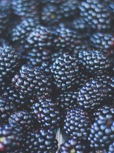 Preview wallpaper blackberries, berries, ripe, blur