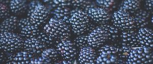 Preview wallpaper blackberries, berries, ripe, blur